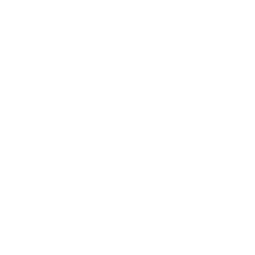 Solid Shield Icon